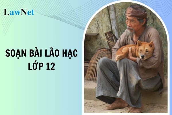 Soạn bài Lão Hạc lớp 12 đầy đủ nhất? Nhà trường có được bắt buộc học sinh học thêm môn Ngữ văn lớp 12?