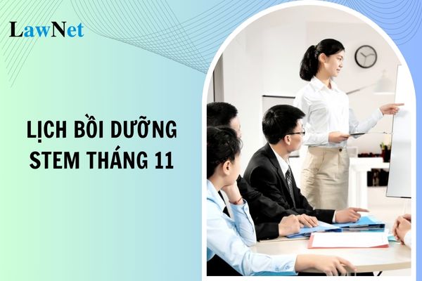 Lịch bồi dưỡng STEM tháng 11 năm 2024 TP Hồ Chí Minh?