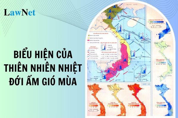 Biểu hiện của thiên nhiên nhiệt đới ẩm gió mùa ở nước ta là gì? Định hướng chung về phương pháp giáo dục môn Địa lí 12?