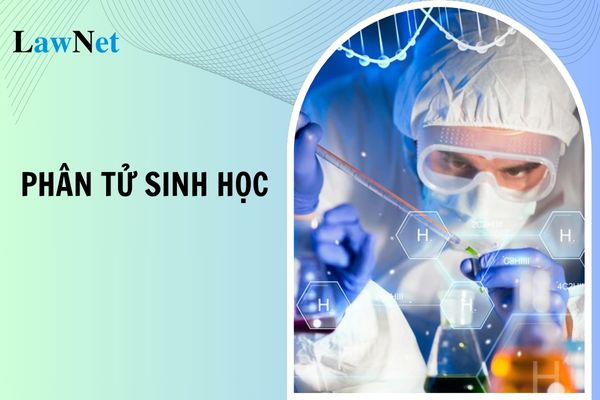 Phân tử sinh học là gì? Bài tập trắc nghiệm phân tử sinh học lớp 10? Môn Sinh học lớp 10 có những chuyên đề học tập nào?