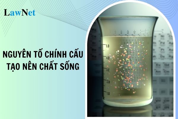 4 Nguyên tố chính cấu tạo nên chất sống là gì? Mạch nội dung môn Sinh học lớp 10 có gì?