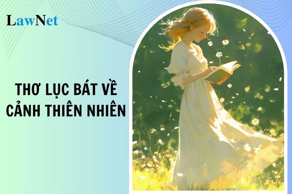 Top 10 mẫu bài thơ lục bát về cảnh thiên nhiên lớp 6? Giáo viên môn Ngữ văn lớp 6 phải có phẩm chất nhà giáo như thế nào?