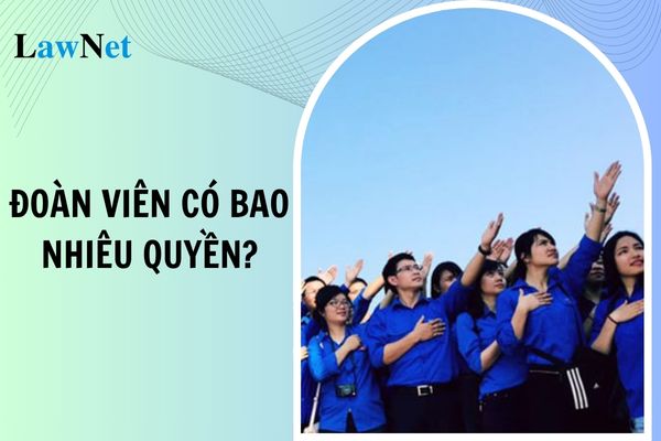 Theo điều lệ Đoàn hiện hành Đoàn viên có bao nhiêu quyền?