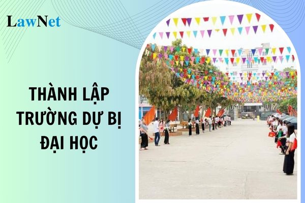 Điều kiện thành lập trường dự bị đại học theo quy định mới từ 20/11/2024?