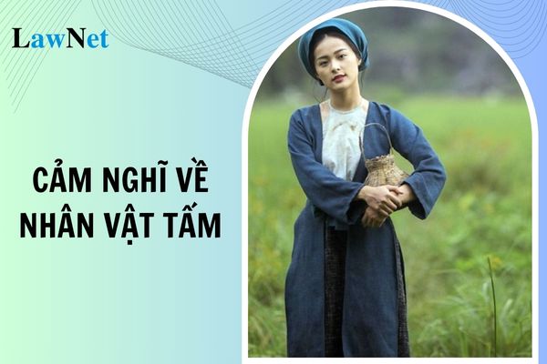 5 mẫu cảm nghĩ về nhân vật Tấm trong truyện cổ tích Tấm Cám? Không được dạy thêm học sinh lớp 5 trong trường hợp nào?