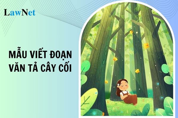 Mẫu viết đoạn văn tả cây cối lớp 4? Học sinh lớp 4 phải có năng lực viết như thế nào?