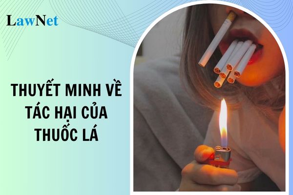 Mẫu bài văn thuyết minh về tác hại của thuốc lá lớp 10? Chuẩn trình độ được đào tạo của Giáo viên Ngữ văn lớp 10 như thế nào?