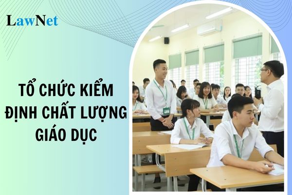 Tổ chức kiểm định chất lượng giáo dục có ít nhất bao nhiêu kiểm định viên cơ hữu làm việc toàn thời gian?