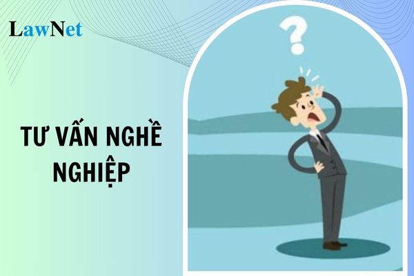 Tư vấn nghề nghiệp trong các cơ sở giáo dục nghề nghiệp là hoạt động gì?