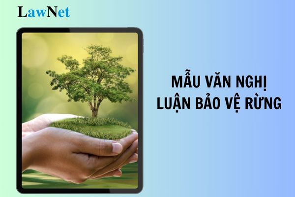 Mẫu văn nghị luận bảo vệ rừng lớp 8 mới nhất 2024? Giáo viên chủ nhiệm lớp 8 được giảm bao nhiêu tiết dạy?