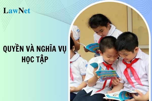 Học tập là quyền hay nghĩa vụ của công dân?