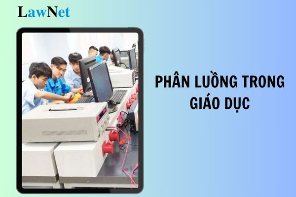 Phân luồng trong giáo dục là gì? Mục tiêu đến năm 2025 phân luồng trong giáo dục?