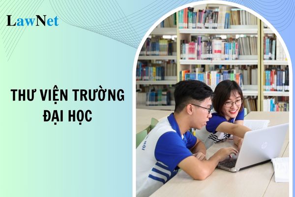 Người làm công tác thư viện trường đại học phải bảo đảm các yêu cầu nào?