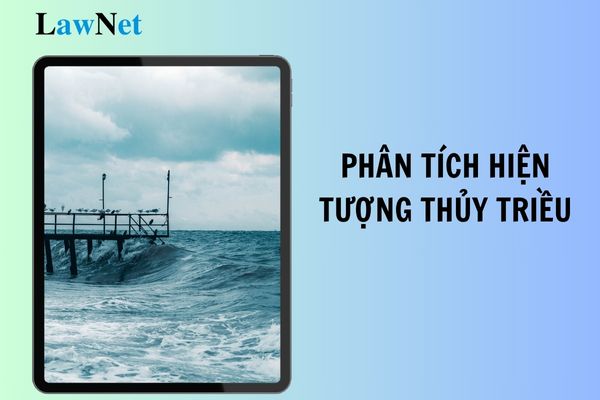 Phân tích ý nghĩa của hiện tượng thủy triều đối với kinh tế, an ninh quốc phòng? Kiến thức cốt lõi môn Địa lí lớp 10 là gì?