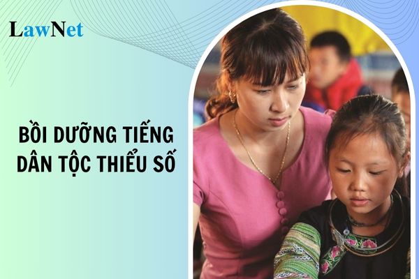 Điều kiện hoạt động cơ sở đào tạo, bồi dưỡng tiếng dân tộc thiểu số?