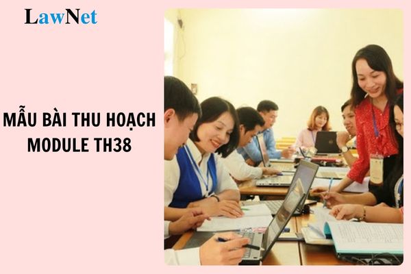 Mẫu bài thu hoạch bồi dưỡng thường xuyên module TH38 mới nhất? Kế hoạch bồi dưỡng thường xuyên giáo viên được thể hiện thế nào?