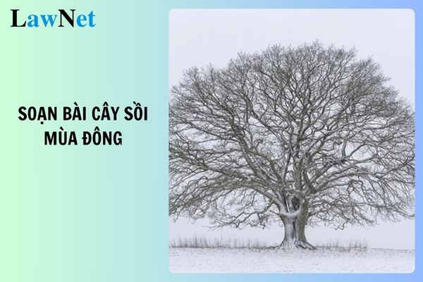 Soạn bài Cây sồi mùa đông lớp 8 ngắn nhất? Học sinh lớp 8 vi phạm khuyết điểm bị xử lý thế nào?