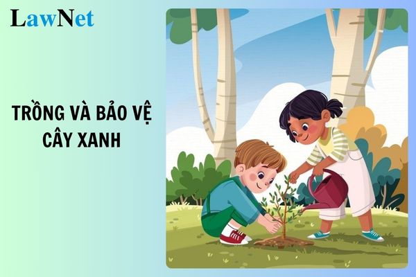 Trình bày ý nghĩa của việc trồng và bảo vệ cây xanh? Mục tiêu của môn Khoa học tự nhiên lớp 7 là gì?