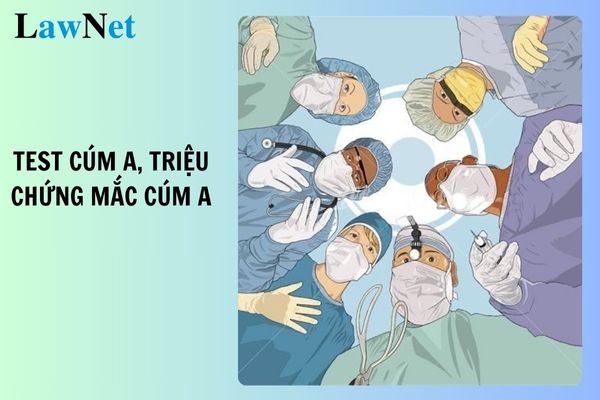 Test cúm A bằng cách nào? Triệu chứng mắc cúm A là gì? Tiêu chuẩn nhân viên y tế trường học?