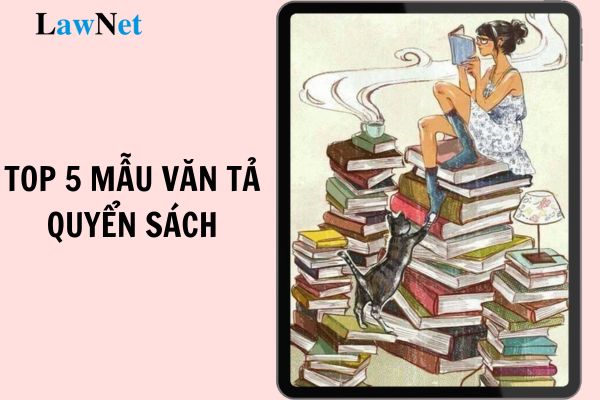 Top 5 mẫu văn tả quyển sách Tiếng Việt lớp 5 tập 2 hay chọn lọc? Đề kiểm tra định kì môn Tiếng Việt lớp 5 có bao nhiêu mức?