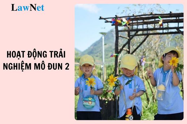 Các dạng bài tập môn Hoạt động trải nghiệm Mô đun 2 mới nhất? Hiện nay Hoạt động trải nghiệm là chương trình thuộc cấp học nào?