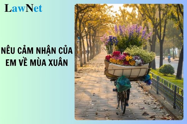 Top 7 mẫu đoạn văn nêu cảm nhận của em về mùa xuân lớp 9? Học sinh lớp 9 quá bao nhiêu tuổi thì không được tốt nghiệp THCS?