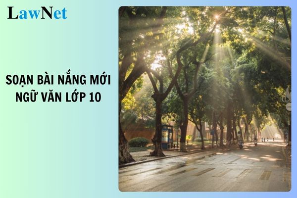 Soạn bài Nắng mới Ngữ văn lớp 10 mới nhất 2025? Môn Ngữ văn là môn thi bắt buộc tuyển sinh vào lớp 10?