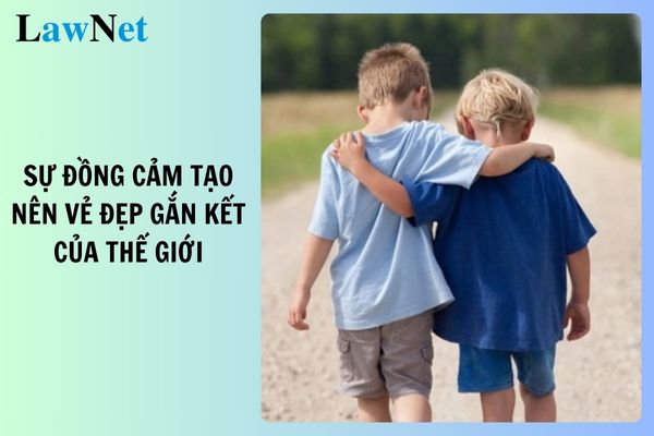 Top 7 đoạn văn về sự đồng cảm tạo nên vẻ đẹp gắn kết của thế giới hay nhất? Điều kiện dạy thêm môn Ngữ văn lớp 10?