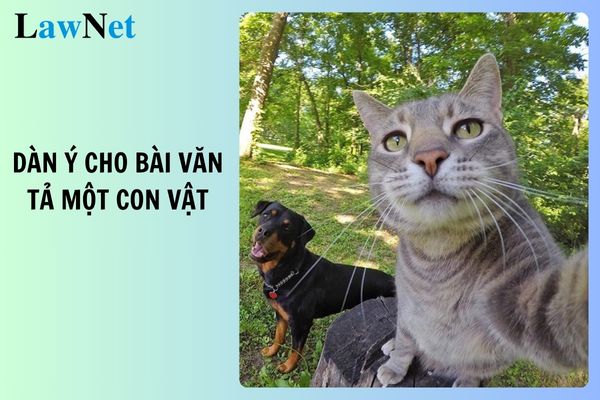 Top 4 dàn ý cho bài văn tả một con vật mà em yêu thích? Yêu cầu khi dạy thêm môn Tiếng Việt lớp 4 ngoài nhà trường?