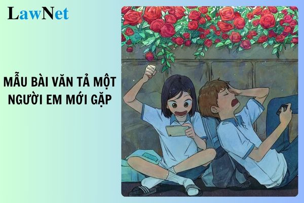 Tổng hợp mẫu bài văn tả một người em mới gặp một lần nhưng để lại cho em những ấn tượng sâu sắc ngắn nhất?