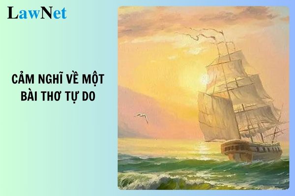 Top 7 mẫu viết đoạn văn ghi lại cảm nghĩ về một bài thơ tự do lớp 8 ngắn gọn, cảm xúc? Môn Ngữ văn lớp 8 có mấy hình thức đánh giá?