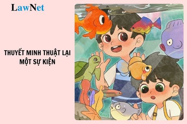 5+ Viết bài văn thuyết minh thuật lại một sự kiện lớp 6? Sách giáo khoa môn Ngữ văn lớp 6 do ai lựa chọn?