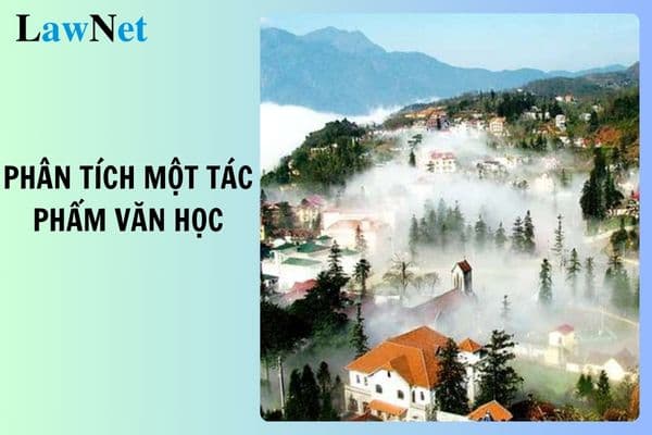 10+ mẫu viết bài văn phân tích một tác phẩm văn học lớp 8 ngắn gọn? Học sinh lớp 8 bị ở lại lớp khi nào?