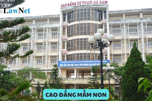 Có mấy hình thức đào tạo cao đẳng mầm non? Các phương thức đào tạo cao đẳng mầm non là gì?