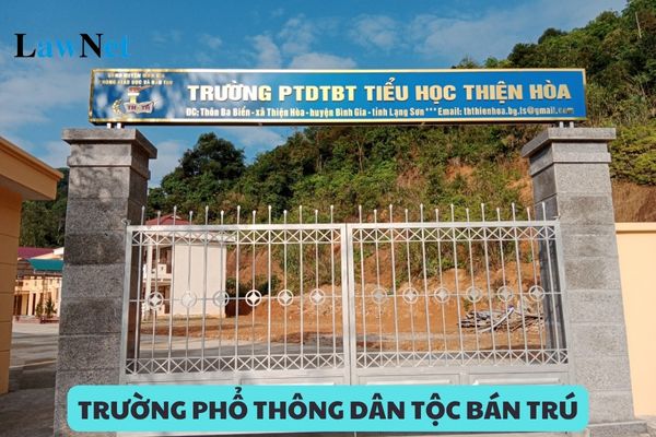 Có các loại hình trường phổ thông dân tộc bán trú nào?