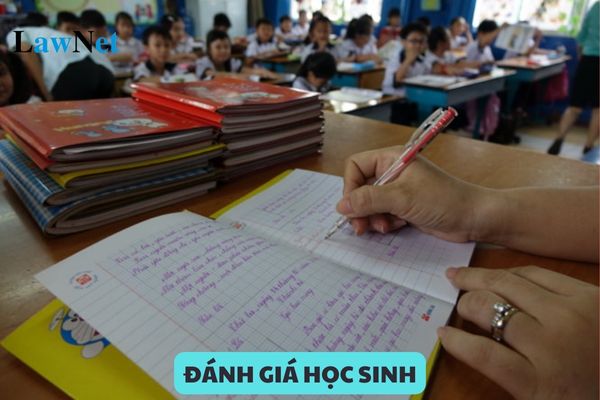 Tổng hợp Thông tư quy định về đánh giá học sinh áp dụng theo chương trình mới?