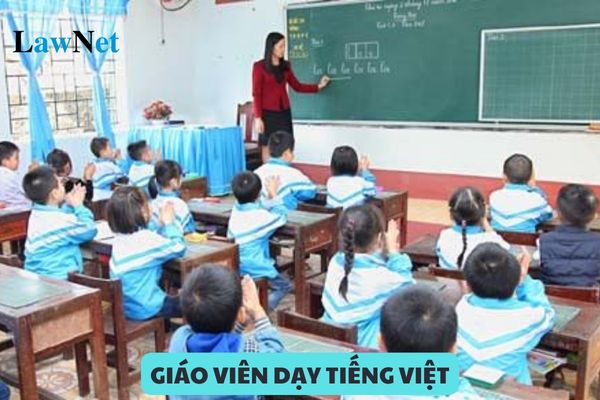 Requirements for Vietnamese language teachers for minority children before entering the first grade