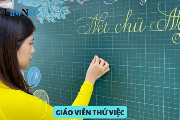 Giáo viên thử việc có được hưởng phụ cấp ưu đãi?