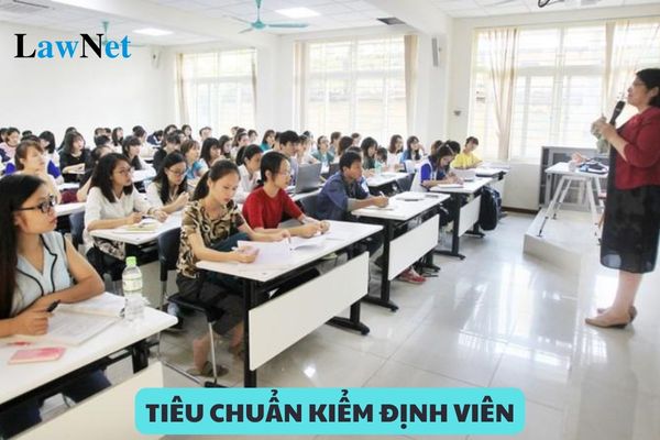 Tiêu chuẩn Kiểm định viên giáo dục đại học và cao đẳng sư phạm như thế nào?