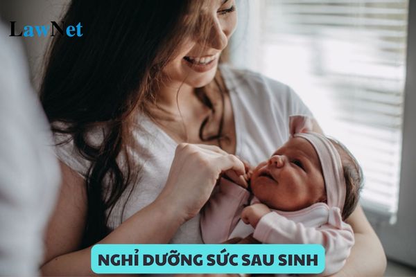 Giáo viên không nghỉ dưỡng sức sau sinh có được tiền?