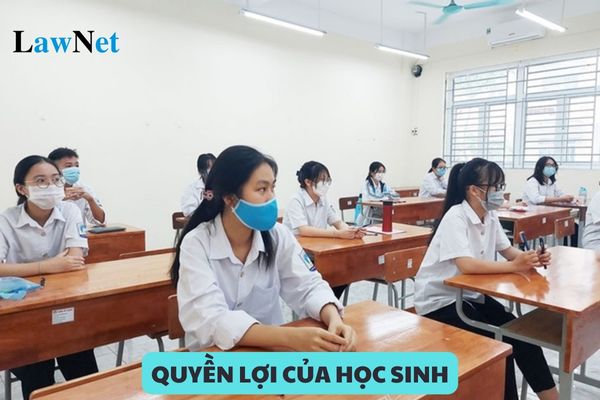 Quyền lợi của học sinh đoạt giải học sinh giỏi quốc gia?