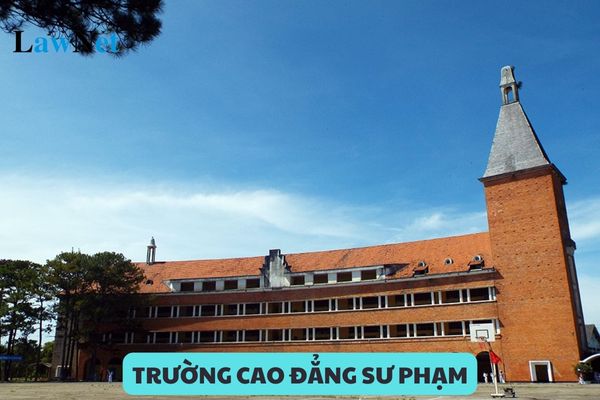 Trường cao đẳng sư phạm chịu sự quản lý của cơ quan nào?