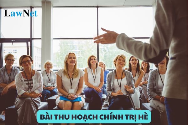 Mẫu bài thu hoạch chính trị hè năm 2024 dành cho giáo viên?