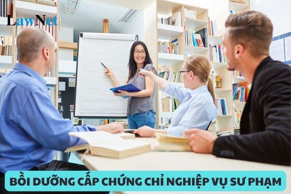 Điều kiện để các cơ sở bồi dưỡng được phép bồi dưỡng và cấp chứng chỉ bồi dưỡng nghiệp vụ sư phạm là gì?