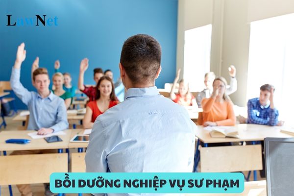 Những học phần chung bắt buộc trong chương trình bồi dưỡng nghiệp vụ sư phạm giáo viên THPT?