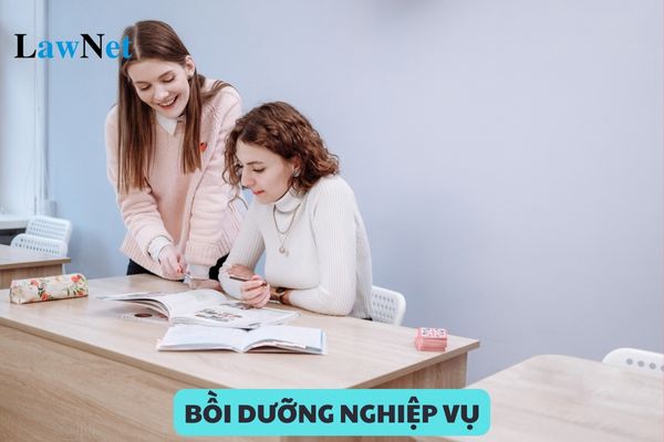 Mục đích bồi dưỡng nghiệp vụ sư phạm là gì?