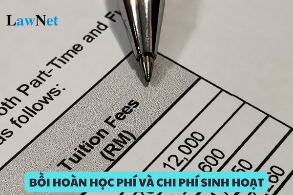 Hỏi đáp Pháp xoilac tv trực tiếp bóng đá hôm nay