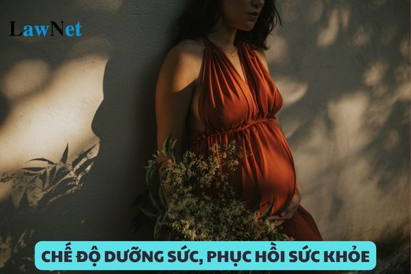 Giáo viên không nghỉ việc thì có được hưởng chế độ dưỡng sức, phục hồi sức khỏe hay không?