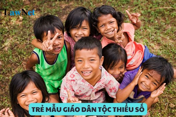 Trẻ mẫu giáo dân tộc thiểu số rất ít người là những dân tộc nào?