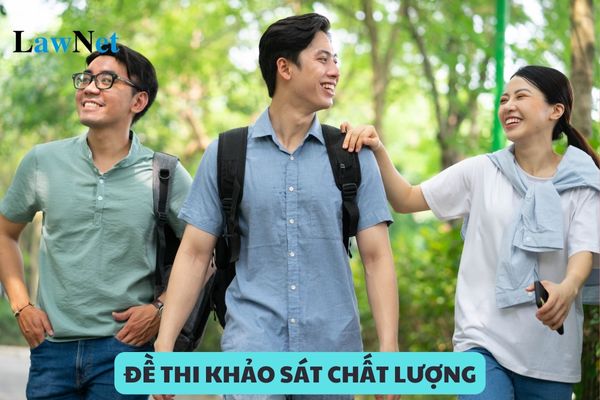 Đề thi khảo sát chất lượng đầu năm học 2024 2025 môn ngữ văn 12 có đáp án?